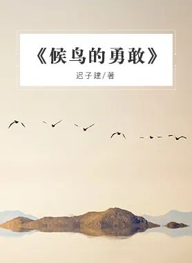 《候鸟的勇敢》