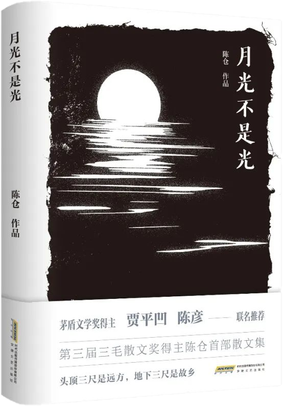 第八届鲁迅文学奖获奖作品《月光不是光》